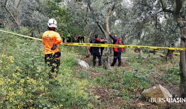 İznik'te Kayıp emekli öğretmen zeytinlikte ölü bulundu