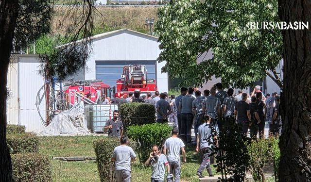 Orhangazi’de Yat Fabrikasında Kimyasal Yangın Paniği