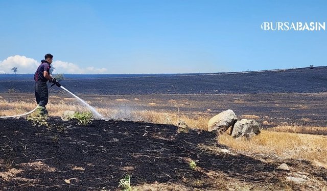 Mustafakemalpaşa'da 10 bin dönümlük alan yandı