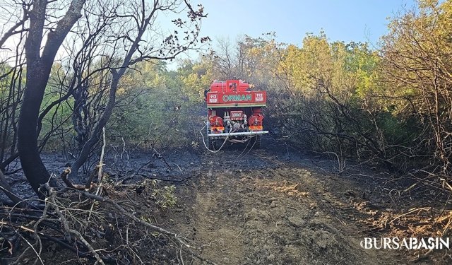 Mustafakemalpaşa’da orman yangını kontrol altına alındı