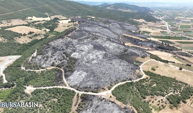 Yenişehir’deki orman yangını 500 saha alanı yaktı