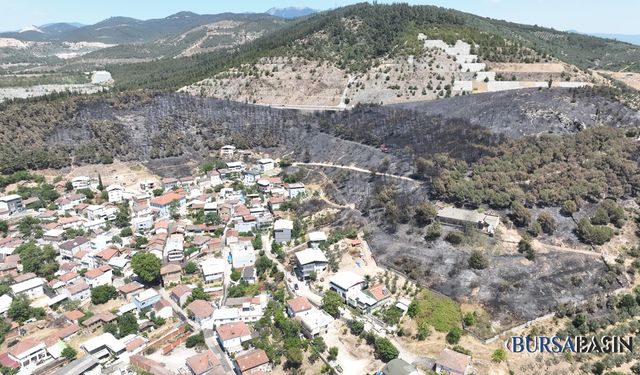 Bursa’daki Orman Yangınlarında 65 Hektar Kül Oldu