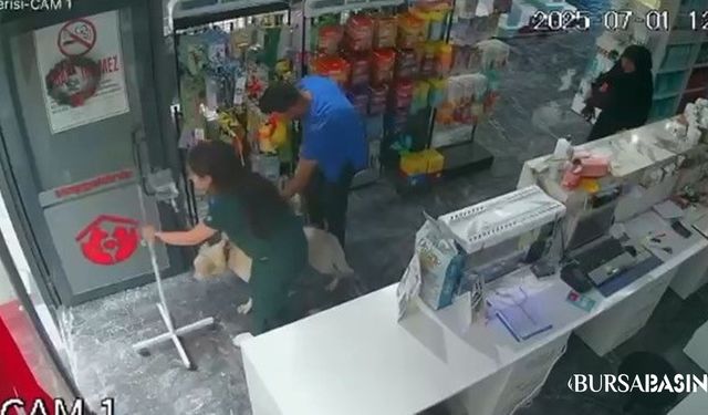 Bursa’daki Depremde Köpeği Kurtaran Çalışan Takdir Topladı