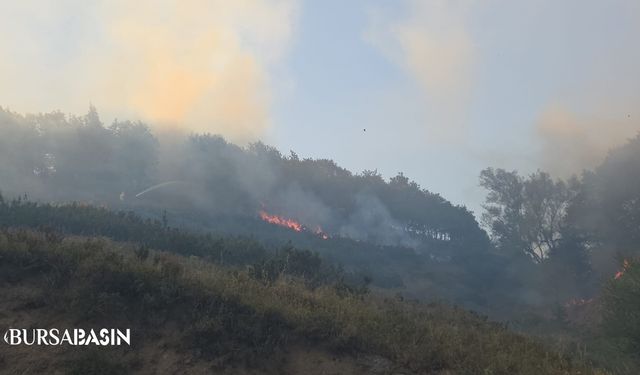 Orhangazi’de orman yangını: Müdahale sürüyor