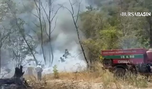 İznik Ömerli’de Orman Yangını Korkuttu
