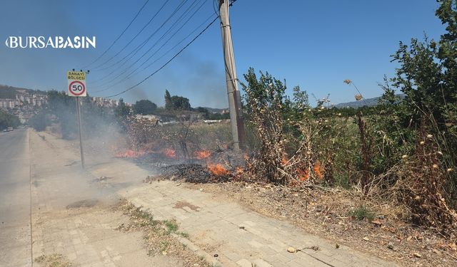 Orhangazi Göl Yolu'nda Otluk Alanda Yangın Korkuttu