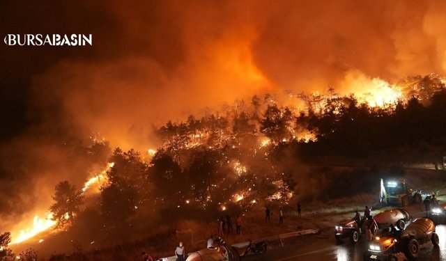 Gürsu Halkı Yangınla Mücadelede Seferber Oldu