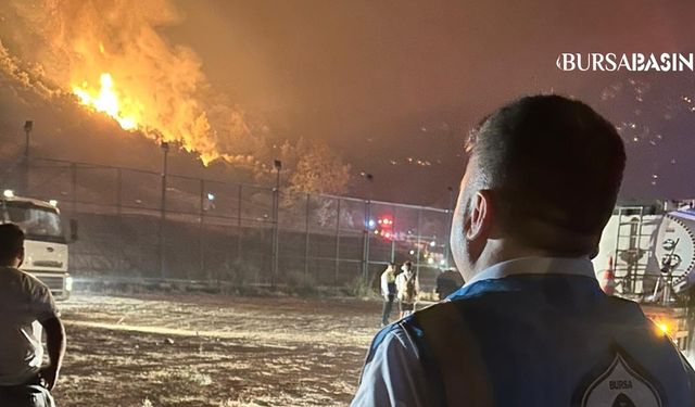 Yıldırım Belediyesi Yangınla Mücadelede Seferber Oldu