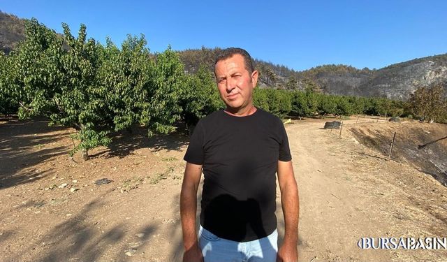 Yangının Ortasında Yemyeşil Kalan Bahçe Şaşırttı