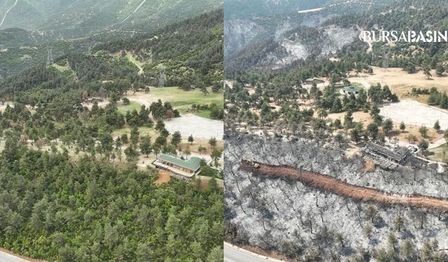 Gürsu’daki Yeşil Cennet Küle Döndü, Yürekler Burkuldu