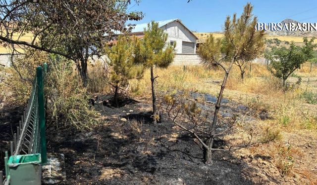 Yozgat’ta Kopan Elektrik Kablosu Tarlayı Küle Çevirdi