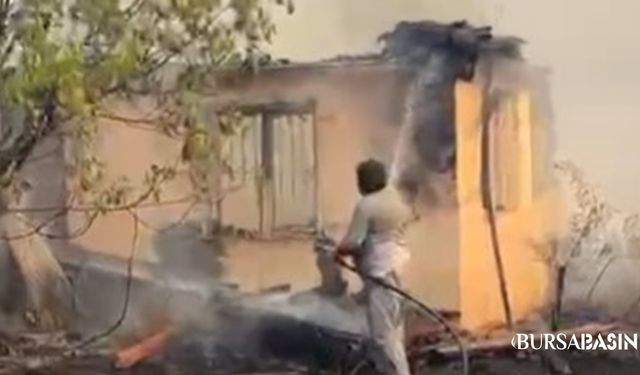 İznik–Karamürsel Yangını Yerleşim Yerlerini Tehdit Ediyor