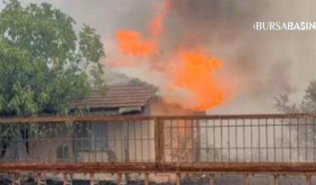 İznik’te Orman Yangını Ekipler Müdahale Ediyor