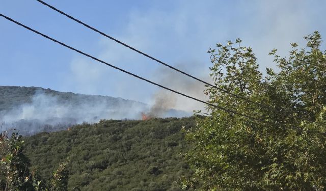 Orhangazi Gedelek’teki Orman Yangını Kontrol Altında