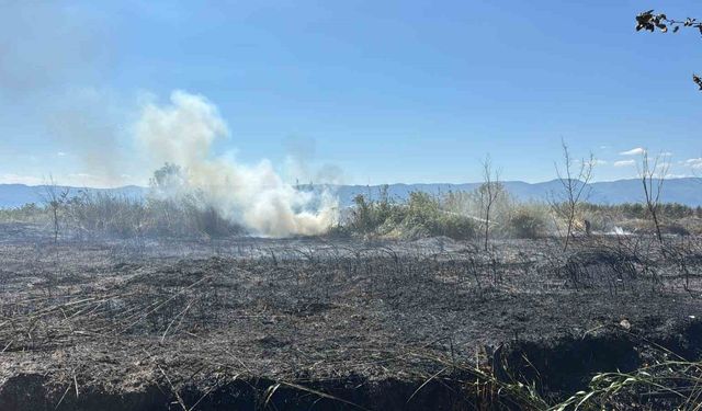 İznik Boyalıca’da sazlık yangını: 100 dönüm küle döndü