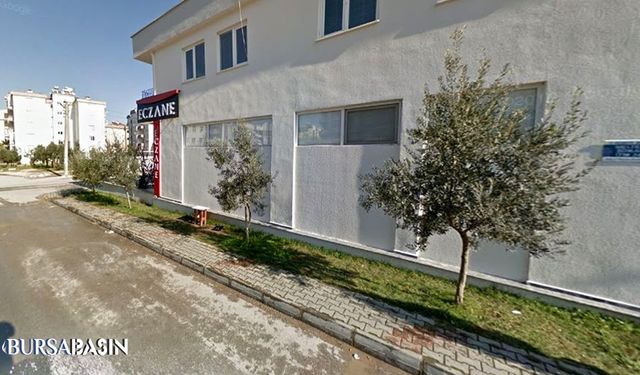 Mudanya’da Eczane, Belediyeye Ait Zeytinleri Sahiplendi