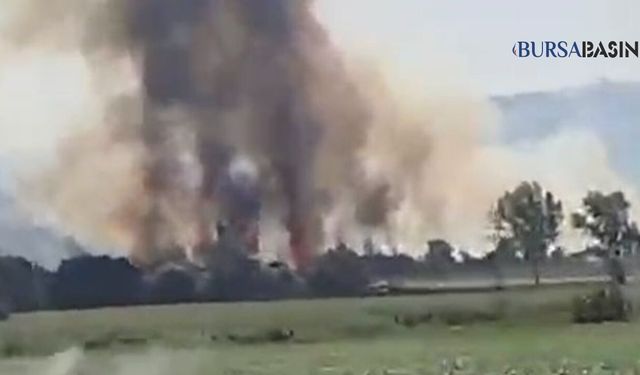 Yenişehir’de kırsal alanda çıkan yangın paniğe yol açtı