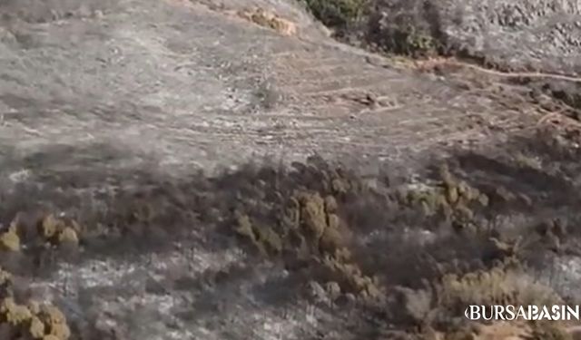 Karacabey’de 16 saatte söndürülen yangının izleri