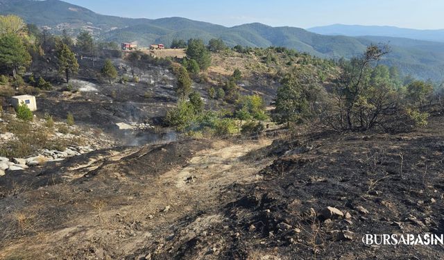 Orhaneli’de mangaldan çıkan yangın korkuttu