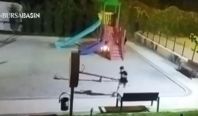 Bursa’da Çocukların Yaktığı Ateş Parkı Küle Çevirdi