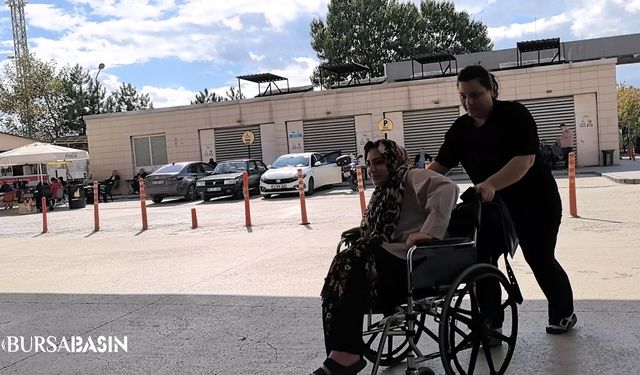 İnegöl’de Piknik Yapan Kadını Yılan Isırdı!