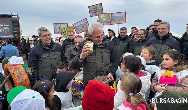 Harmancık’ta Yanan 4 Bin Hektar Yeniden Yeşeriyor