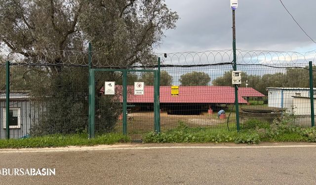 Çoban İsa Figürünün Bulunduğu Lahit Tarlası Koruma Altında