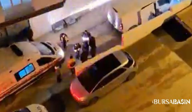 Osmangazi’de Sokak Köpeği Saldırısı: 3 Yaralı