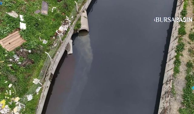 Marmara Alarm Veriyor: Haramidere Simsiyah Akıyor