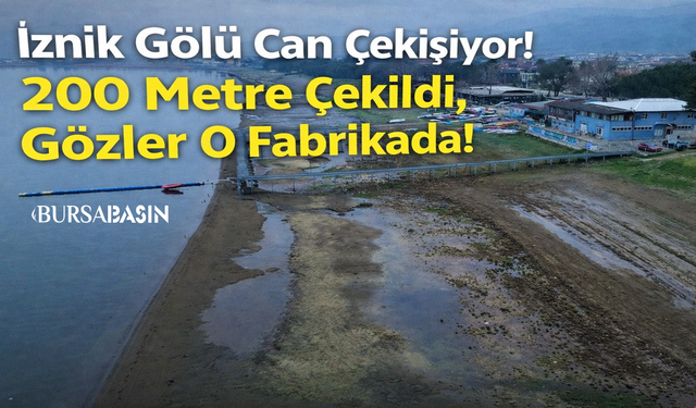 İznik Gölü 200 Metre Çekildi, Gözler O Fabrikada!