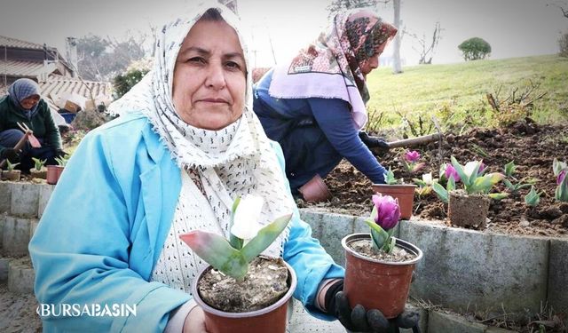 Osmangazi Baharla Renk Cümbüşüne Döndü