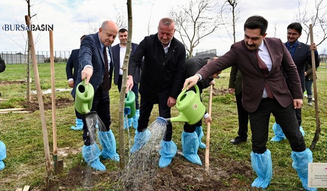 Karacabey’de 700. Yıl Anısına 77 Çınar Dikildi