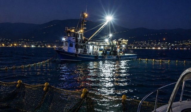 Gemlik Körfezi’nde Ağ Uyarısı