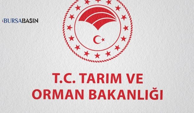 Bakanlıktan “Yapay Et” Düzenlemesine Net Açıklama