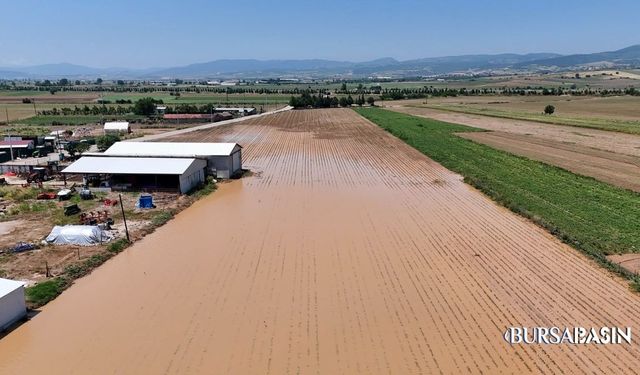 Yenişehir’de Dolu Felaketi: Binlerce Dönüm Zarar Gördü