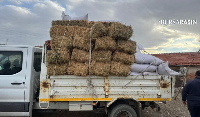 Hububat Hasadıyla Saman Fiyatları Yarı Yarıya Düştü