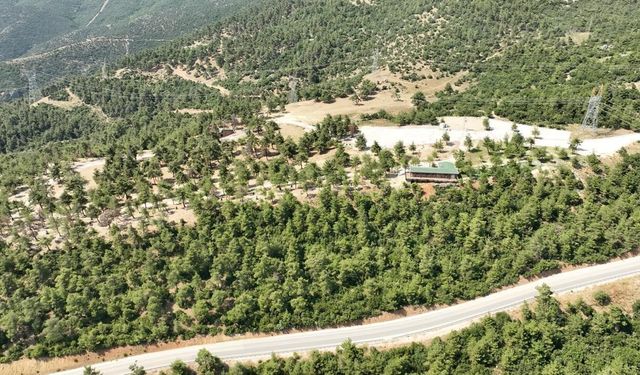 Gürsu Kule Orman Park Yeniden Açılıyor