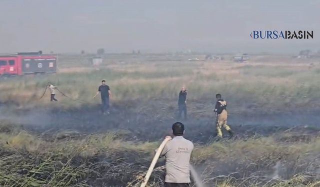 Karacabey’de Fabrika Yakınında Otluk Yangını