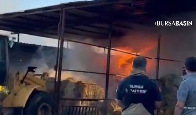 Karacabey’de Çiftlik Yangını: 4 Hayvan Telef Oldu
