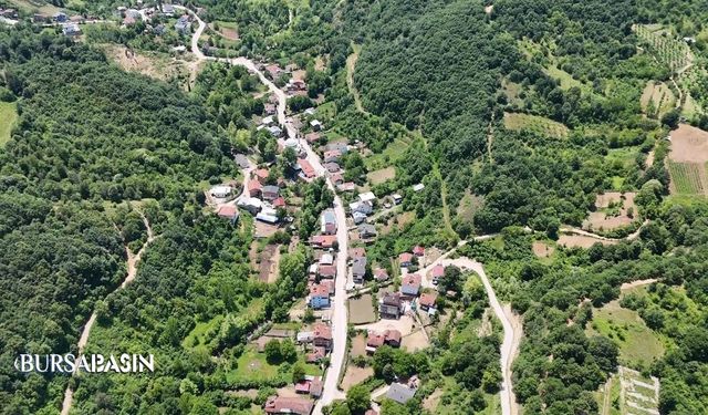Bursa'nın 5,2 Kilometrelik Mahallesi İlgi Odağı Oldu