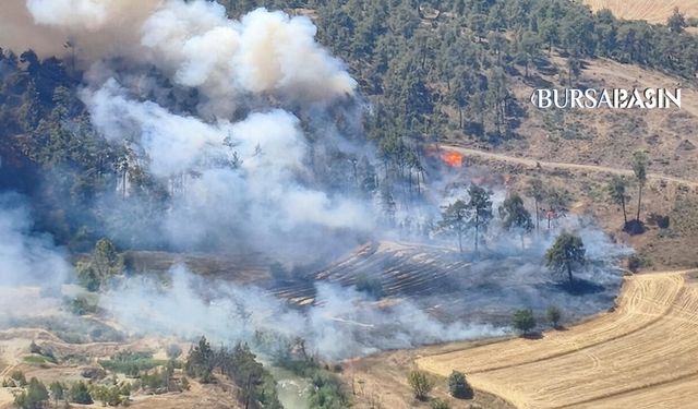 Büyükorhan'da Otluk Alandaki Yangın Ormana Sıçradı