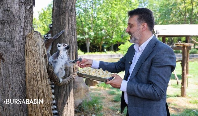 Bursa Hayvanat Bahçesi İçin Yeni Dönem Mesajı