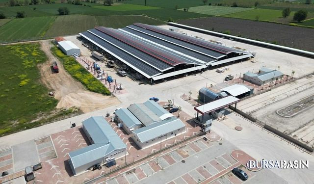 İnegöl Hayvan Pazarı 2 Ay Sonra Yeniden Açılıyor