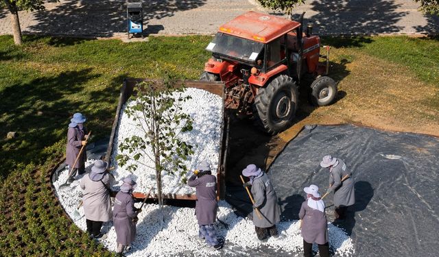 Karacabey'de Park Ve Yeşil Alanlar Yenileniyor