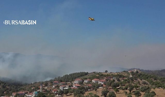 Ayvalık ve Gömeç'te Orman Yangınıyla Zaman Yarışı