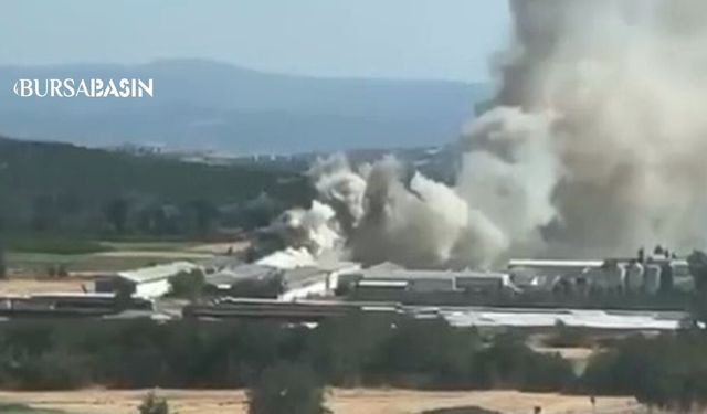 Mudanya'da Tavuk Çiftliğinde Yangın Paniği