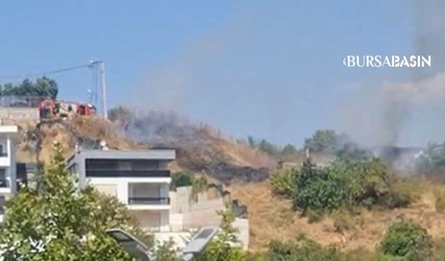 Osmangazi'de Otluk Alan Yangını Korkuttu