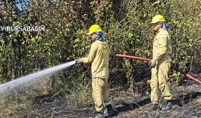 Mudanya’da Tarım Arazisi Yangını Evlere Ulaşmadan Söndürüldü