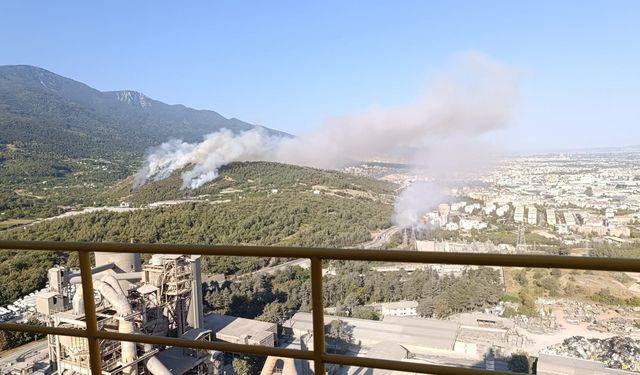 Bursa Kestel’de 3 Noktada Orman Yangını Paniği