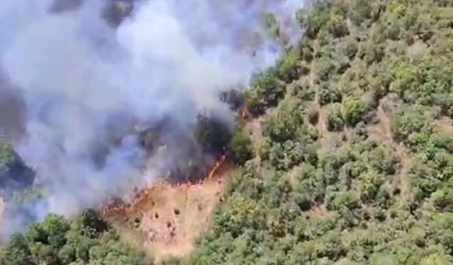 Bursa’da Orman Yangınları: Kestel’in Ardından Yenişehir